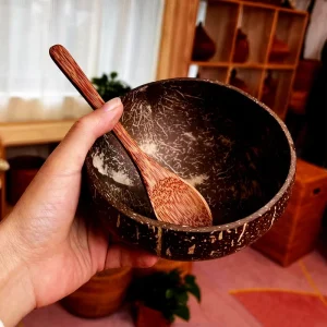 Natural Coconut Bowl Set Wooden Salad